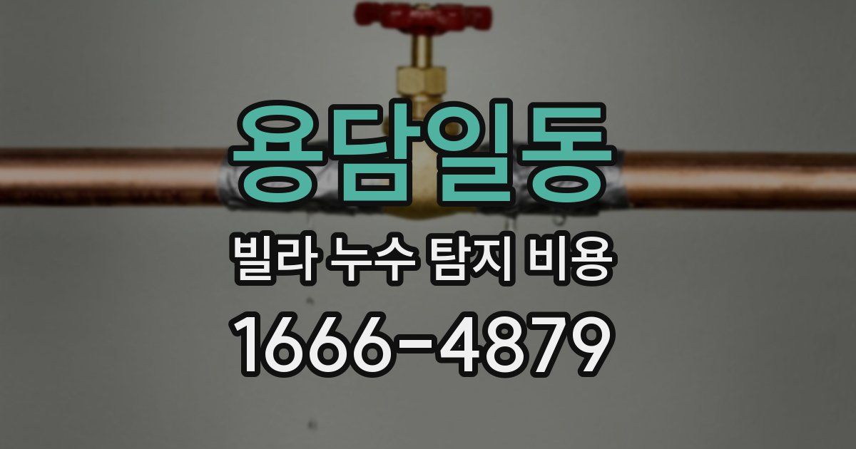 용담일동 빌라 누수 탐지 비용