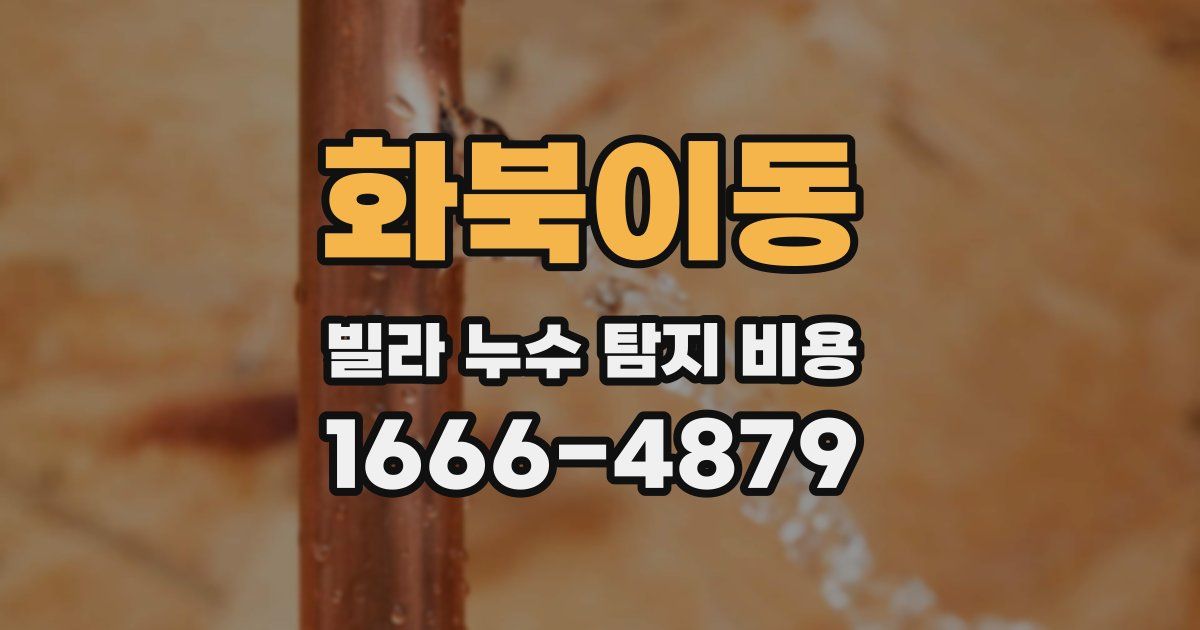 화북이동 빌라 누수 탐지 비용