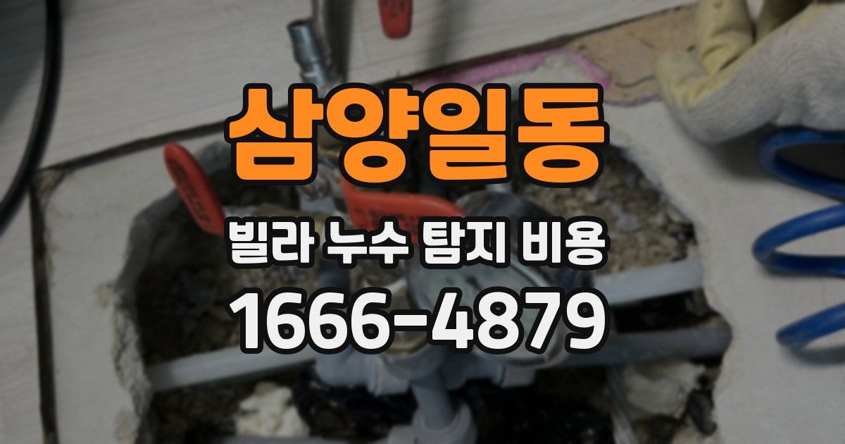 삼양일동 빌라 누수 탐지 비용