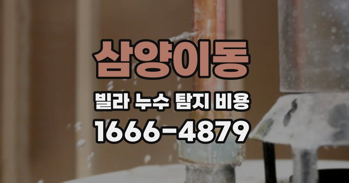 삼양이동 빌라 누수 탐지 비용