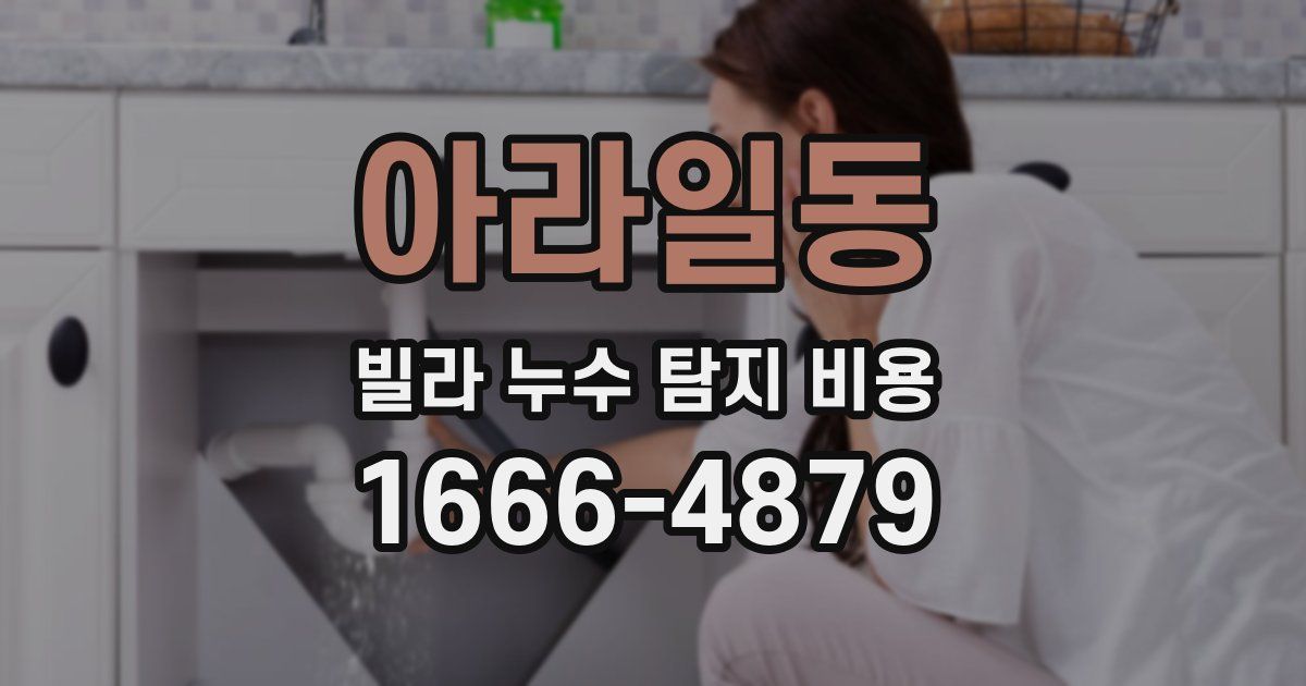 아라일동 빌라 누수 탐지 비용