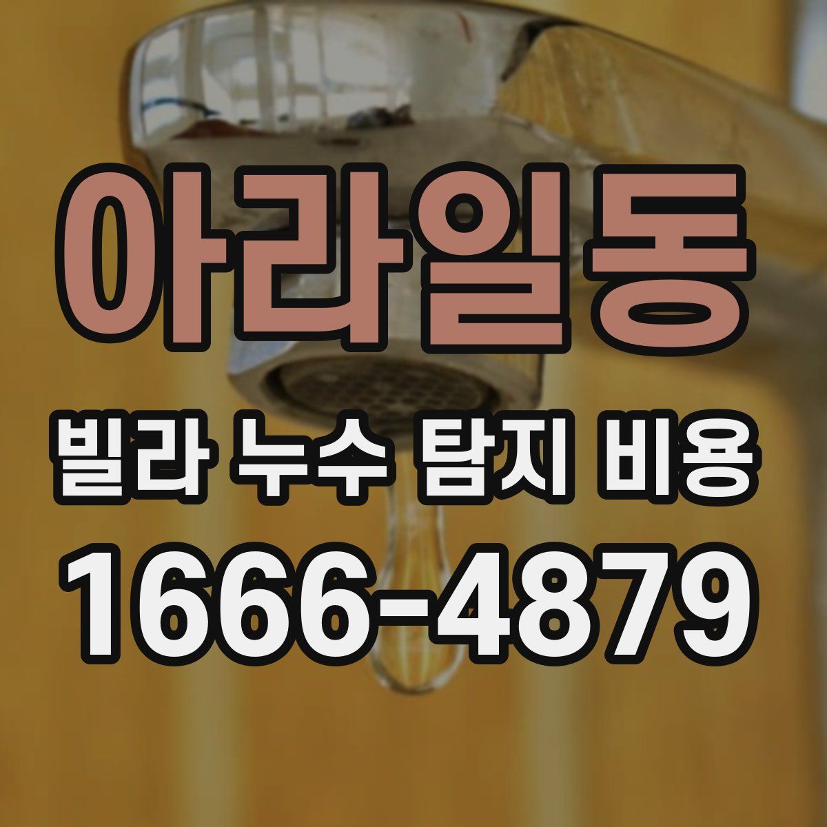 아라일동 빌라 누수 탐지 비용