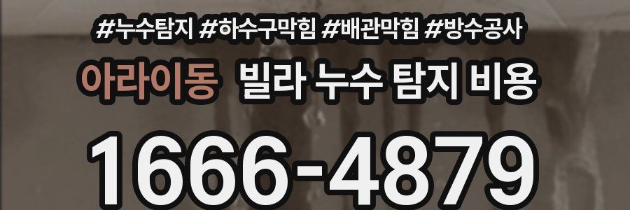아라이동 빌라 누수 탐지 비용