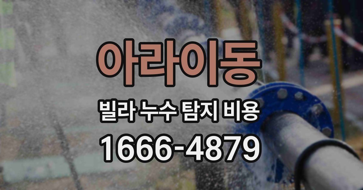 아라이동 빌라 누수 탐지 비용