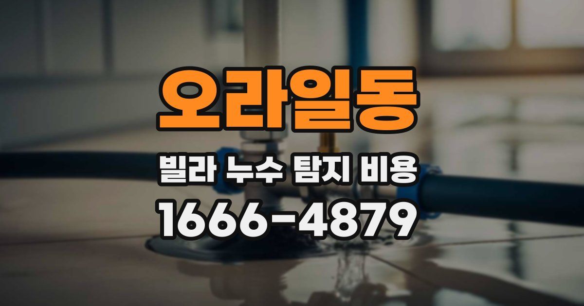 오라일동 빌라 누수 탐지 비용