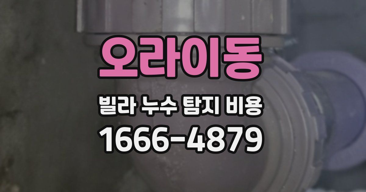오라이동 빌라 누수 탐지 비용