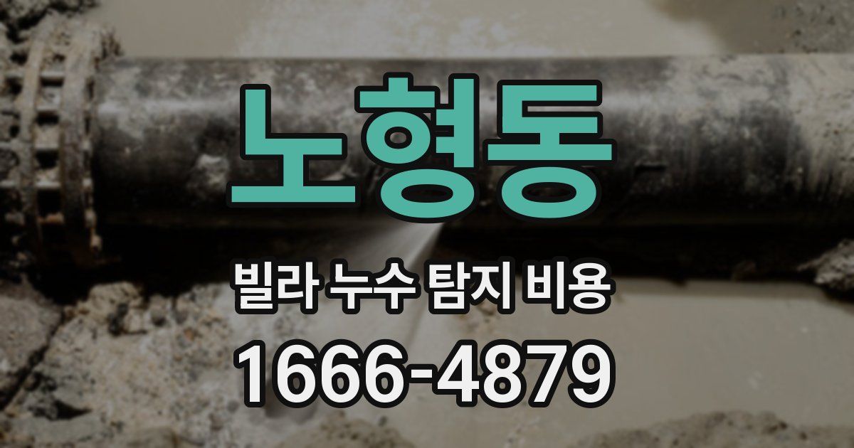 노형동 빌라 누수 탐지 비용
