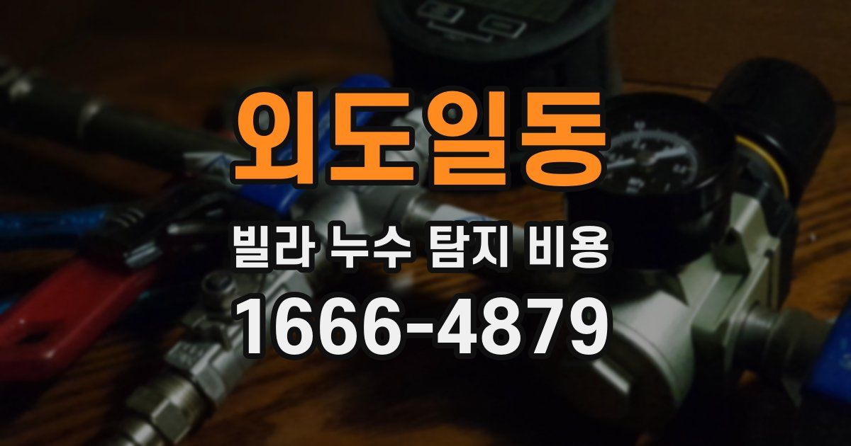 외도일동 빌라 누수 탐지 비용