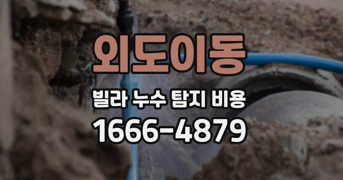 외도이동 빌라 누수 탐지 비용