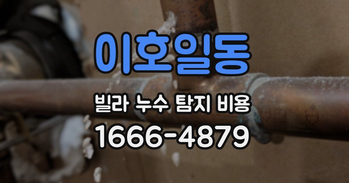 이호일동 빌라 누수 탐지 비용