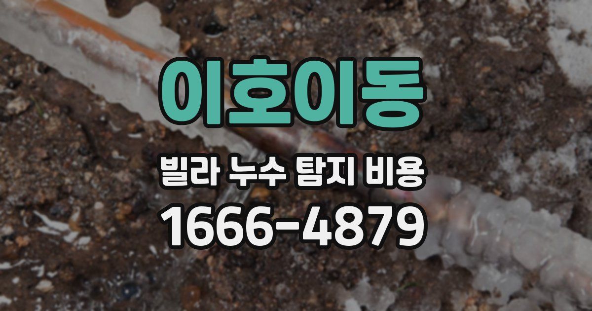 이호이동 빌라 누수 탐지 비용