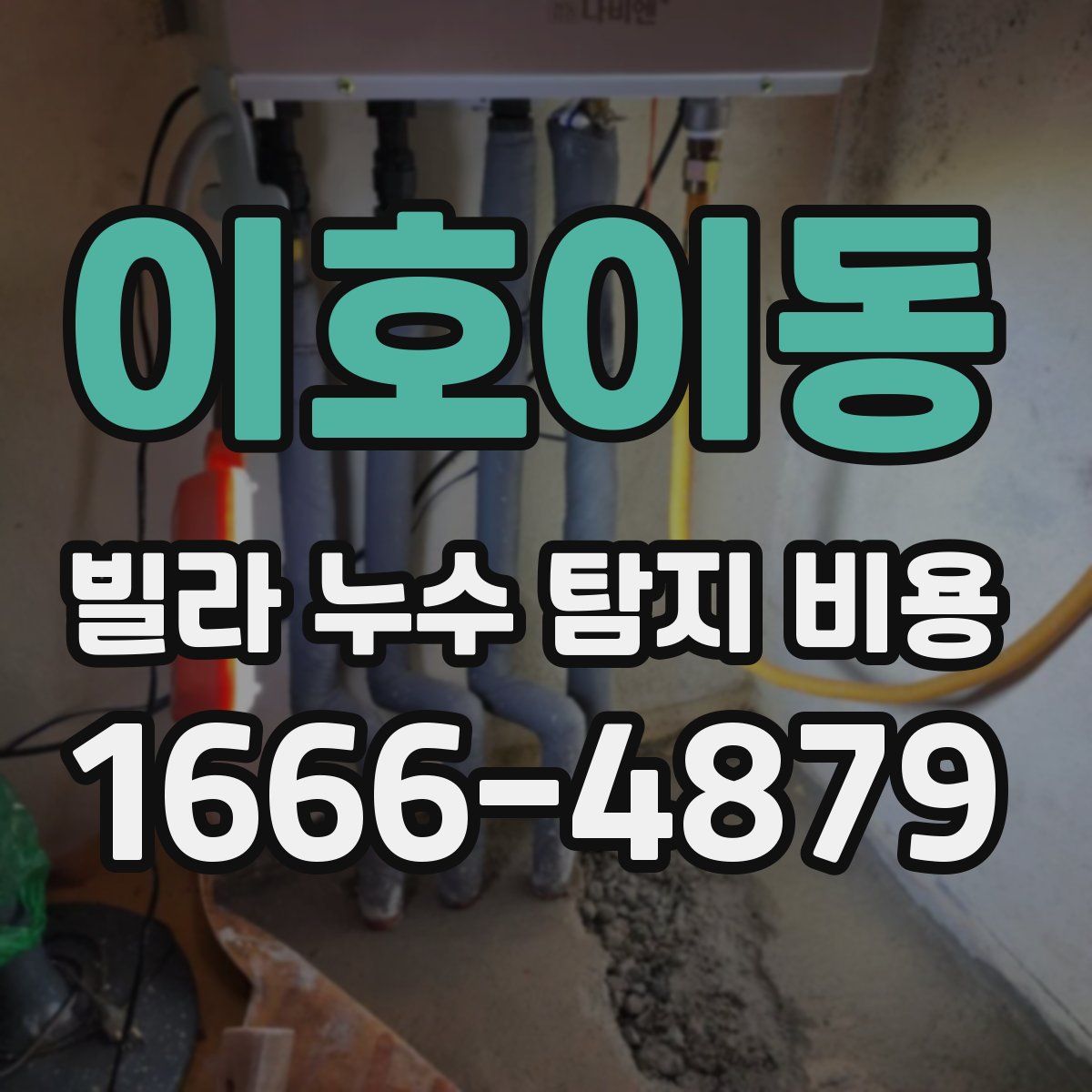 이호이동 빌라 누수 탐지 비용