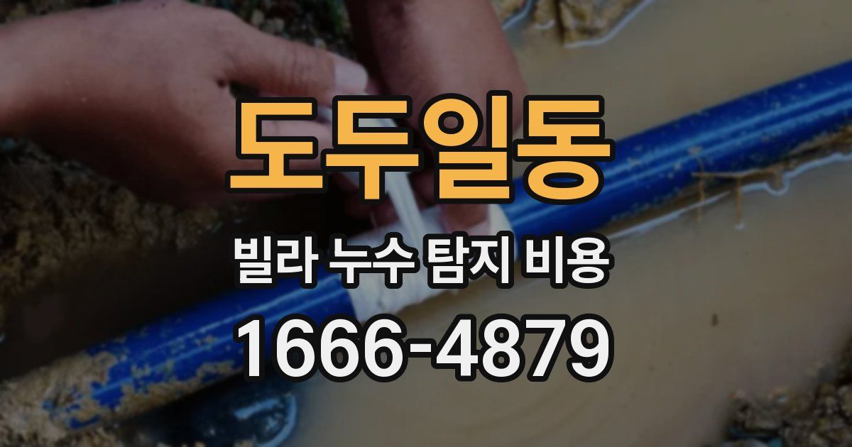 도두일동 빌라 누수 탐지 비용