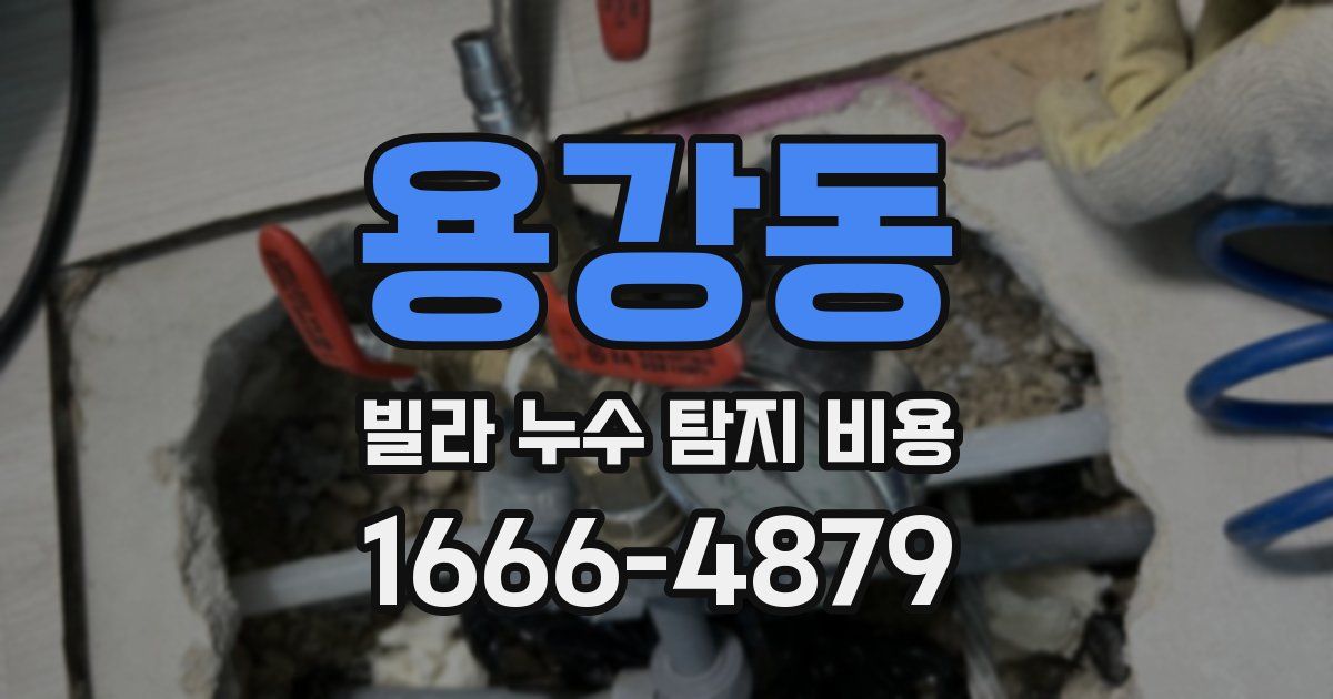 용강동 빌라 누수 탐지 비용
