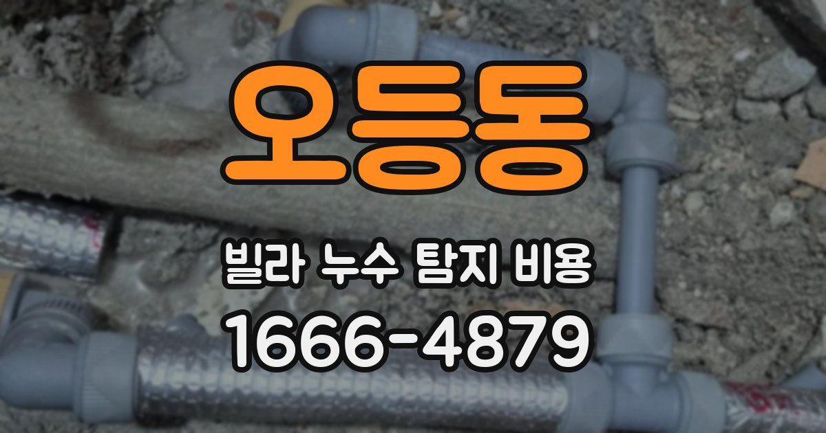 오등동 빌라 누수 탐지 비용