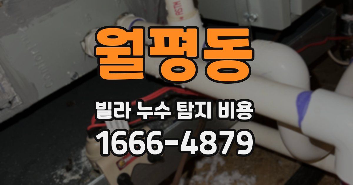 월평동 빌라 누수 탐지 비용