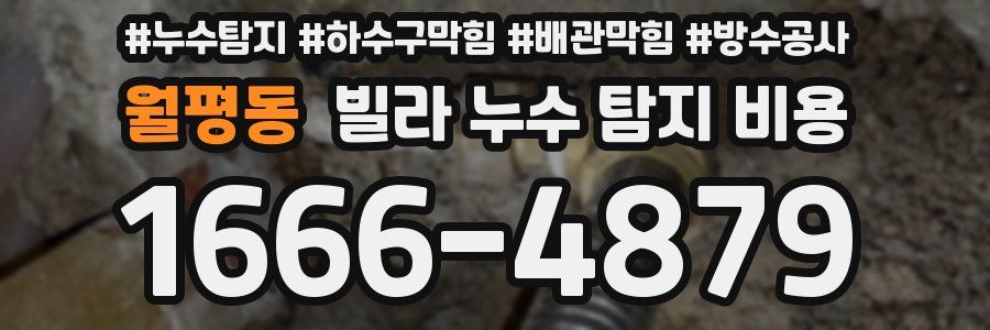 월평동 빌라 누수 탐지 비용
