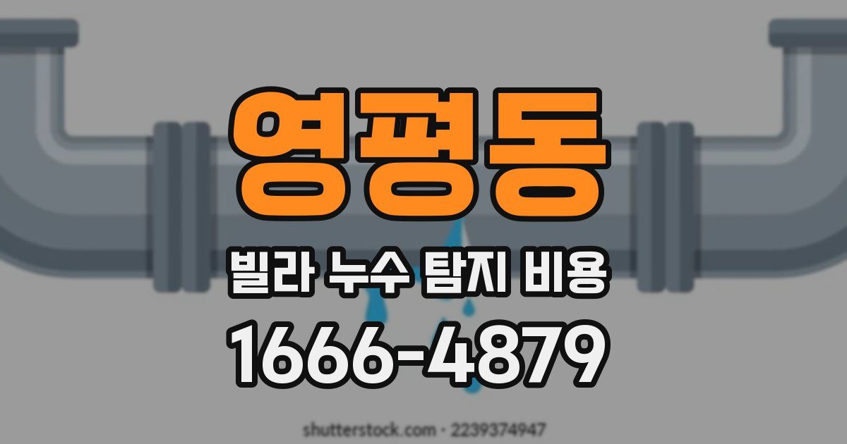영평동 빌라 누수 탐지 비용