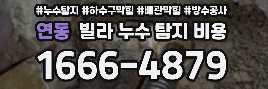 연동 빌라 누수 탐지 비용