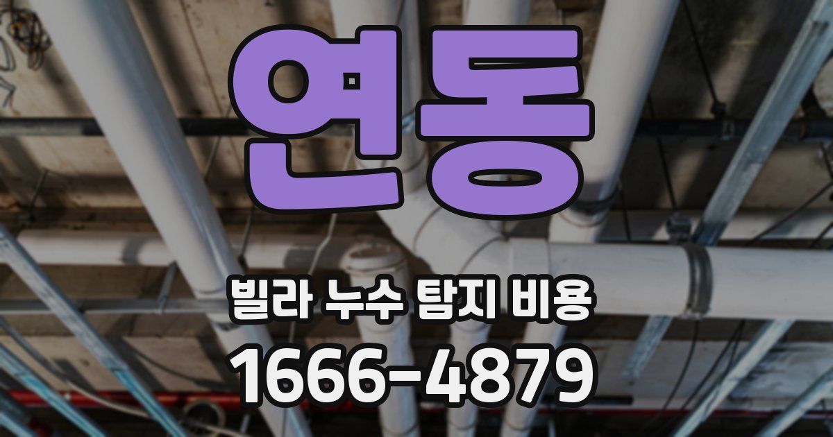 연동 빌라 누수 탐지 비용