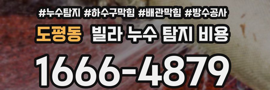 도평동 빌라 누수 탐지 비용