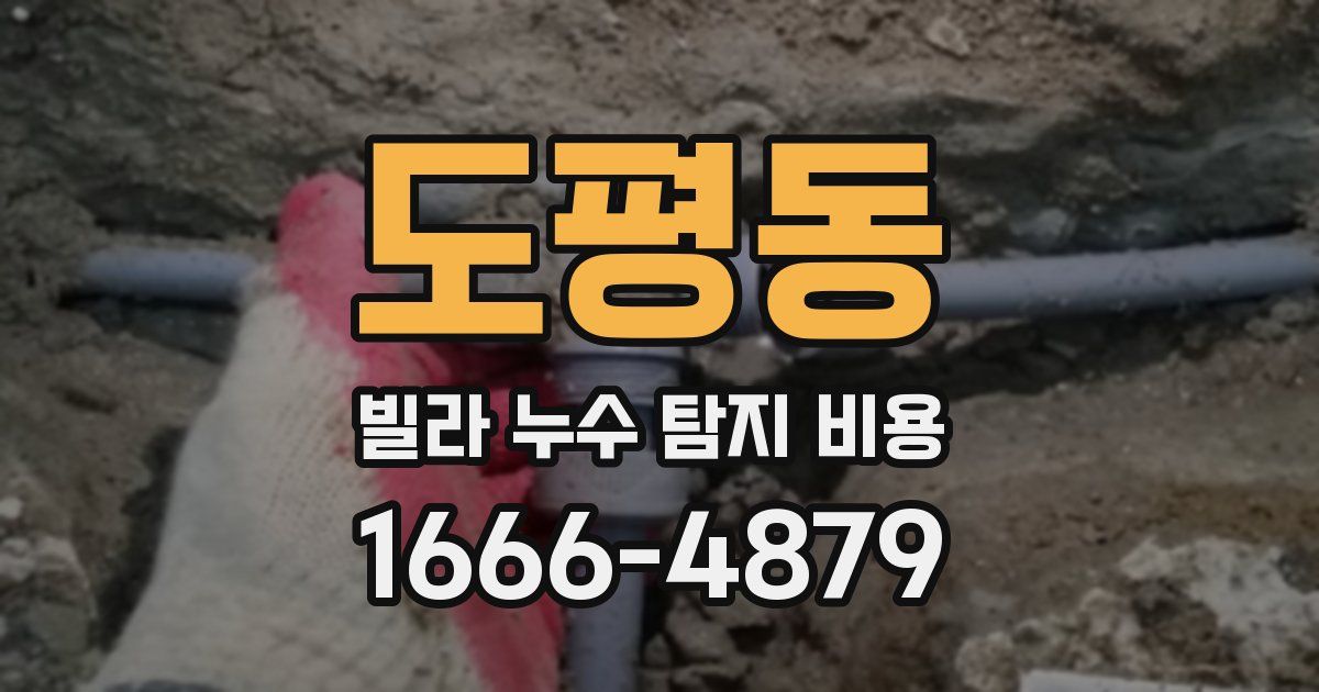 도평동 빌라 누수 탐지 비용