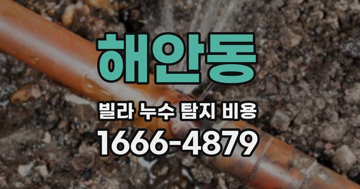 해안동 빌라 누수 탐지 비용