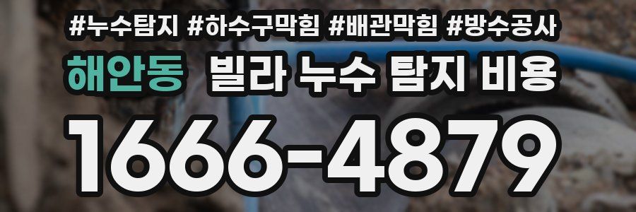 해안동 빌라 누수 탐지 비용