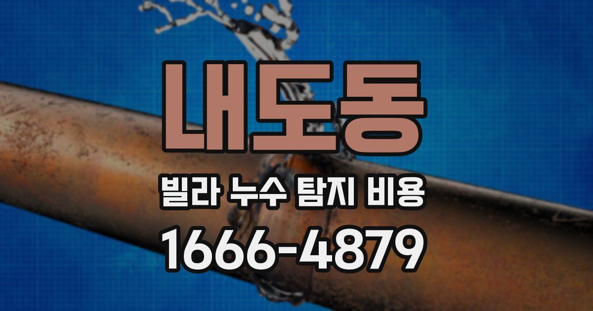 내도동 빌라 누수 탐지 비용