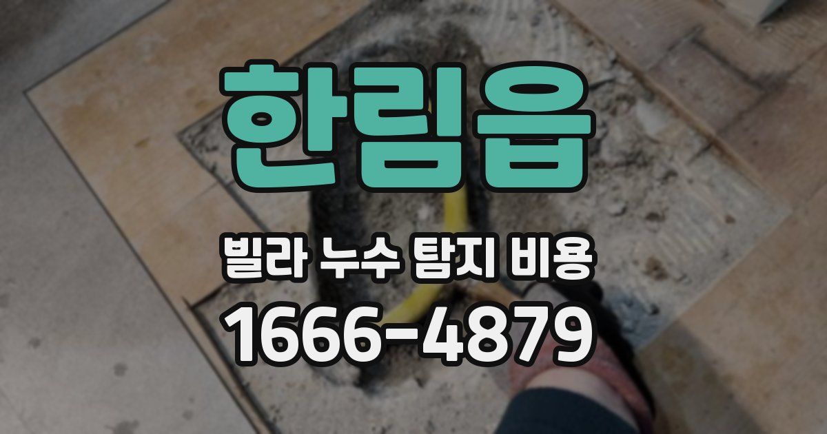 한림읍 빌라 누수 탐지 비용