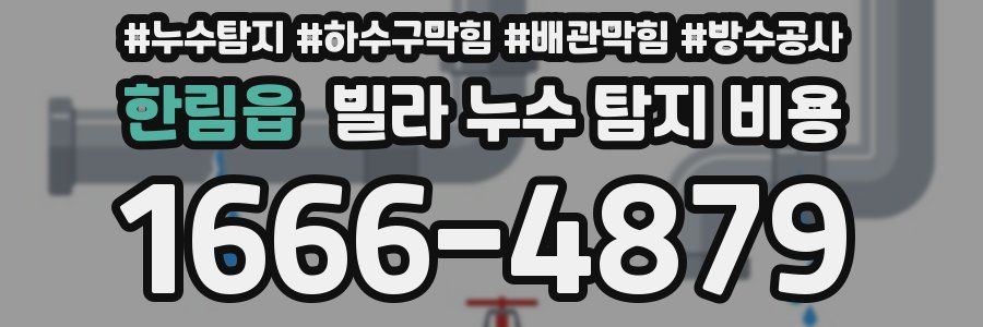 한림읍 빌라 누수 탐지 비용