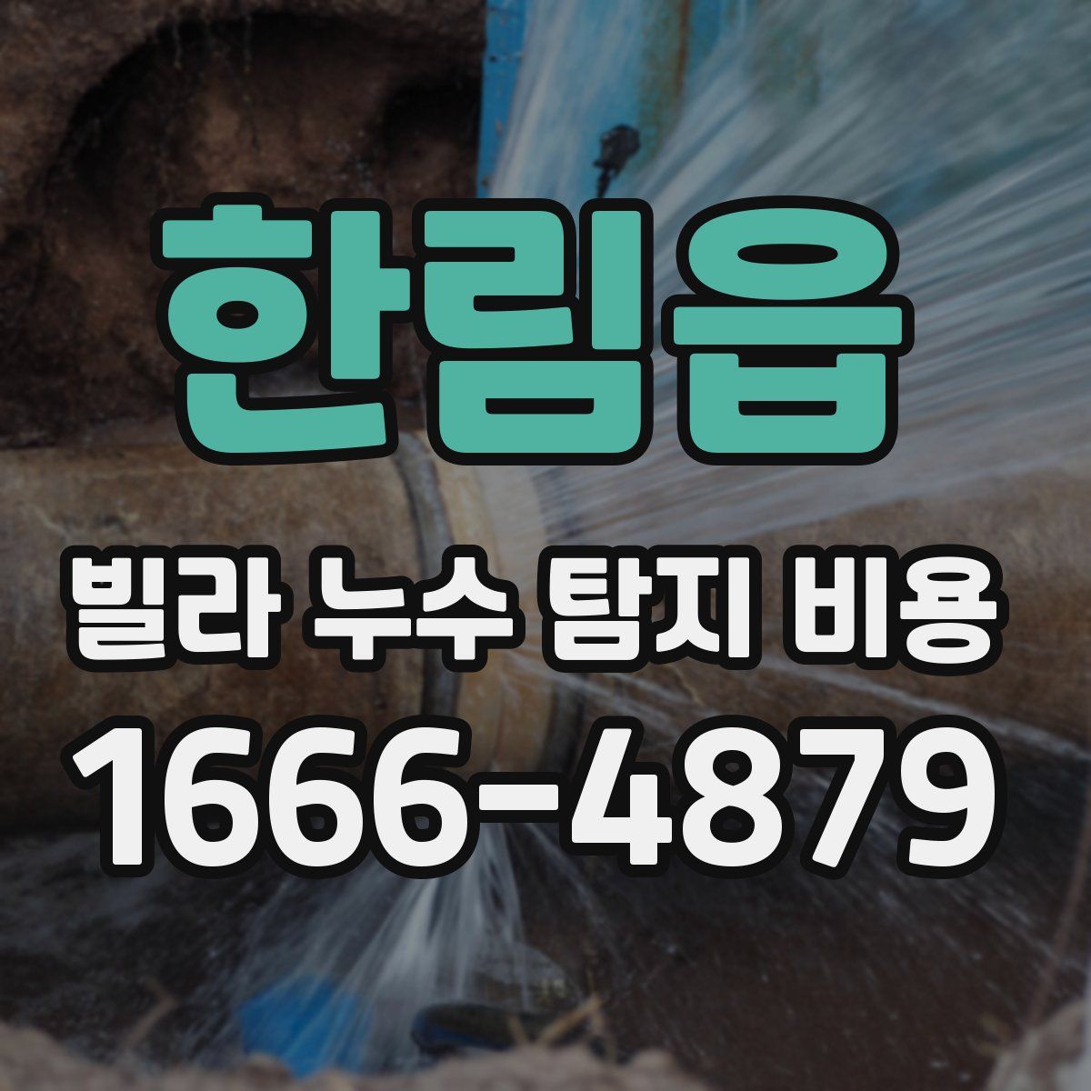한림읍 빌라 누수 탐지 비용