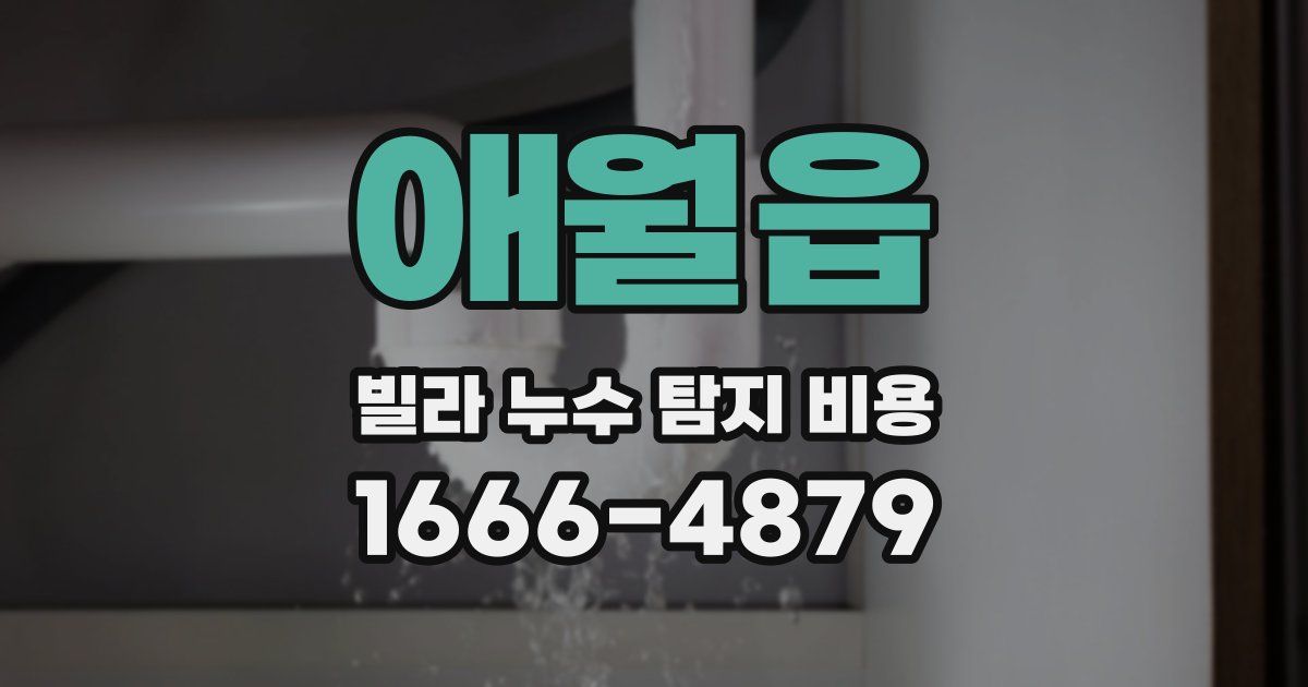 애월읍 빌라 누수 탐지 비용