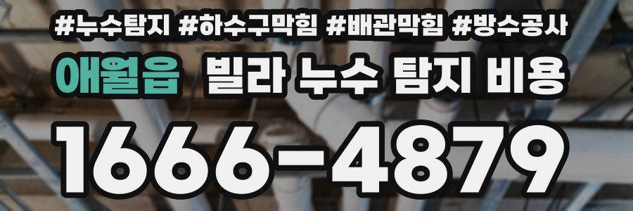 애월읍 빌라 누수 탐지 비용