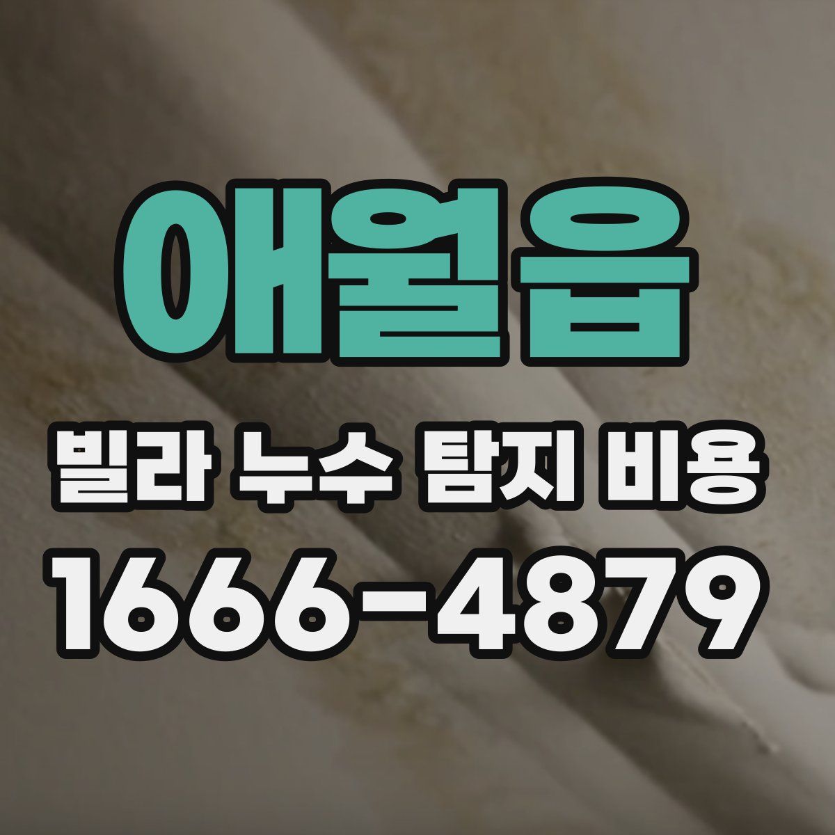 애월읍 빌라 누수 탐지 비용