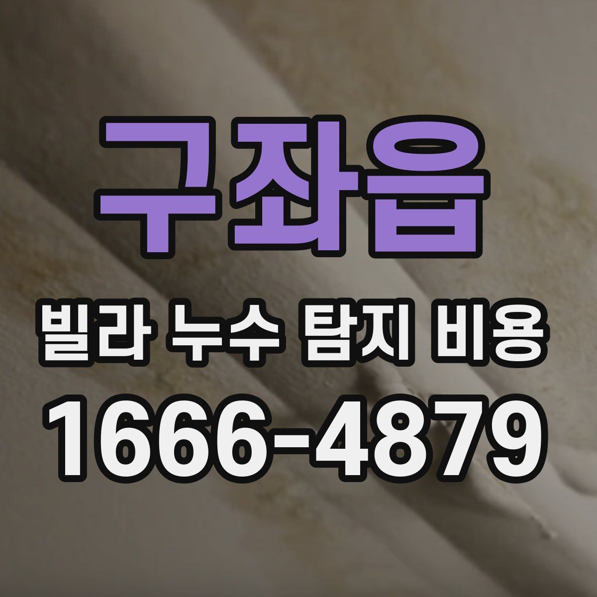 구좌읍 빌라 누수 탐지 비용