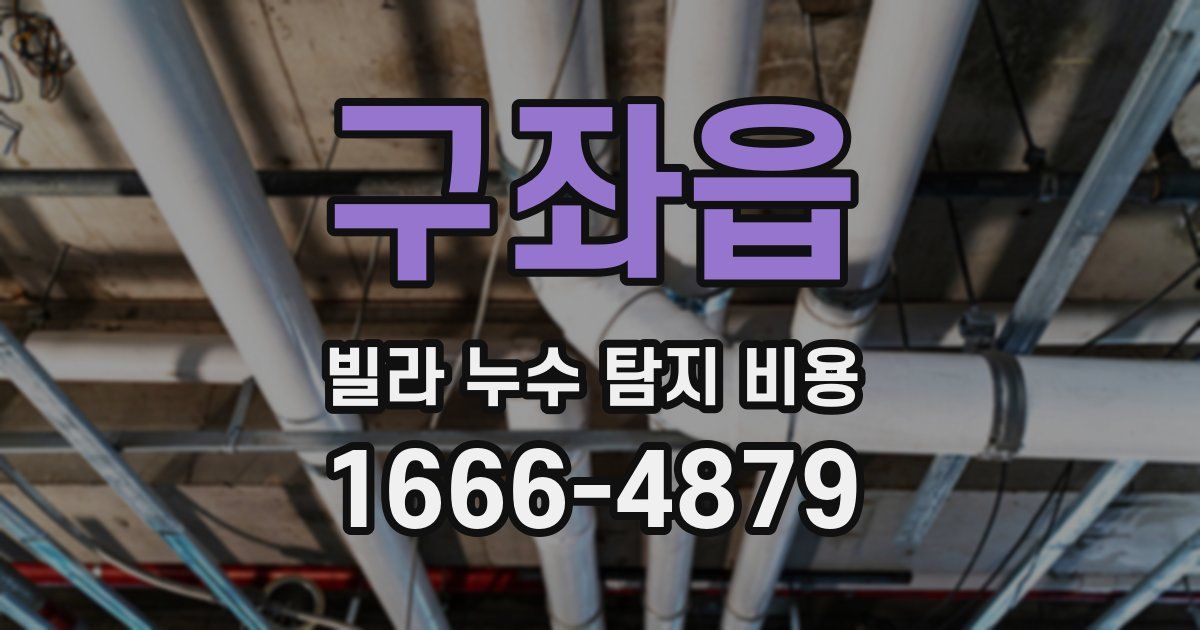 구좌읍 빌라 누수 탐지 비용