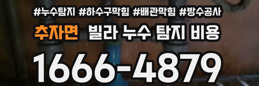 추자면 빌라 누수 탐지 비용