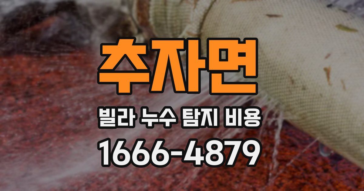 추자면 빌라 누수 탐지 비용
