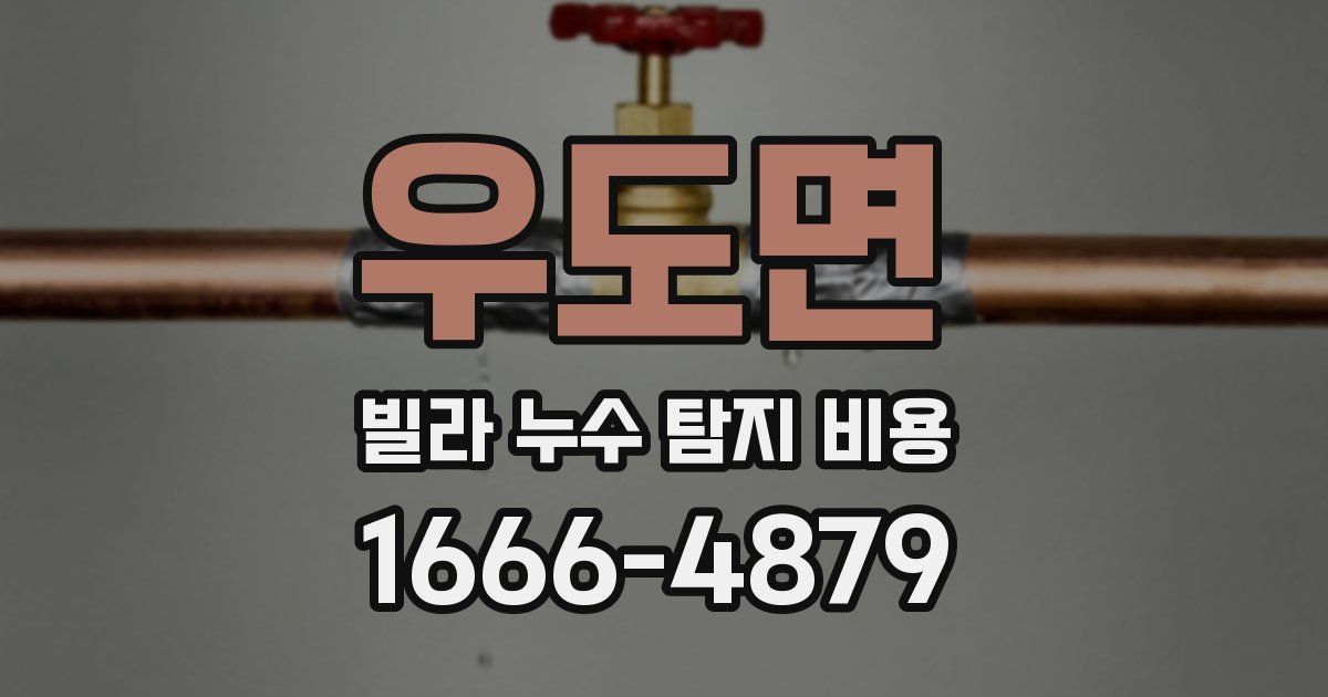 우도면 빌라 누수 탐지 비용