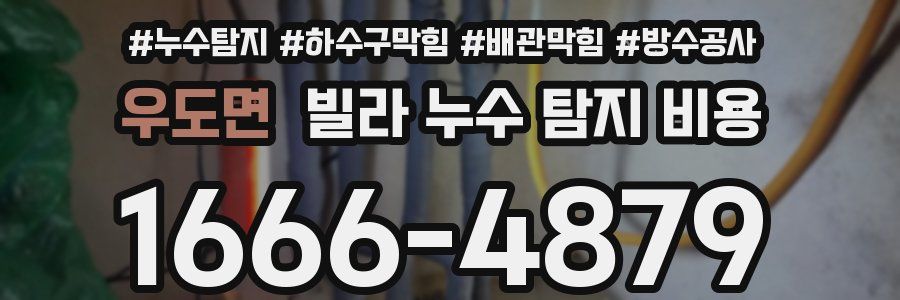 우도면 빌라 누수 탐지 비용
