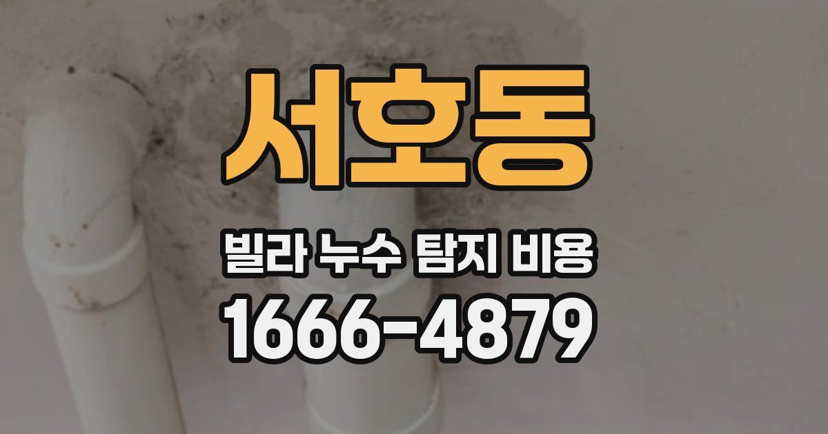 서호동 빌라 누수 탐지 비용