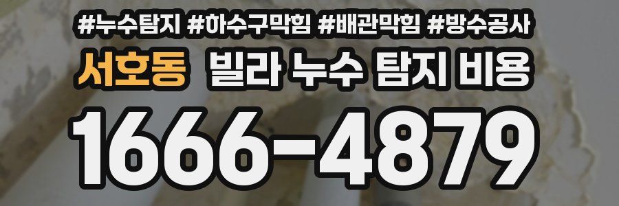 서호동 빌라 누수 탐지 비용