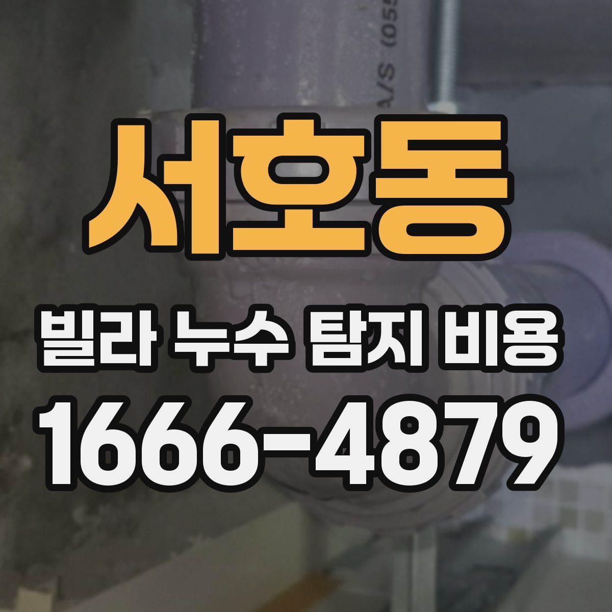 서호동 빌라 누수 탐지 비용