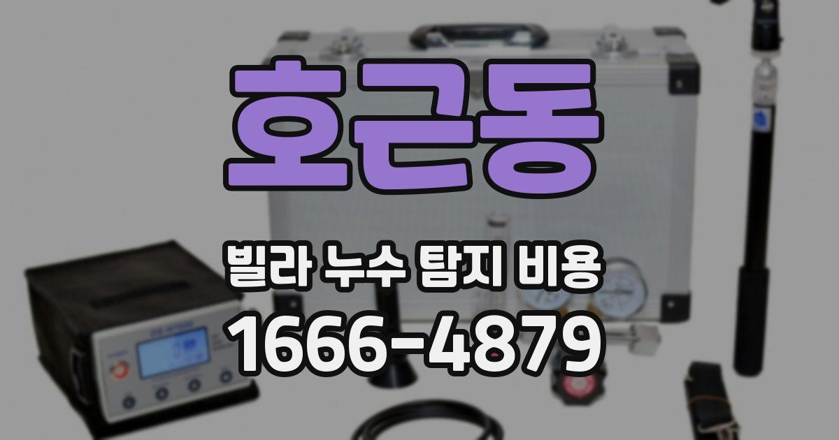 호근동 빌라 누수 탐지 비용
