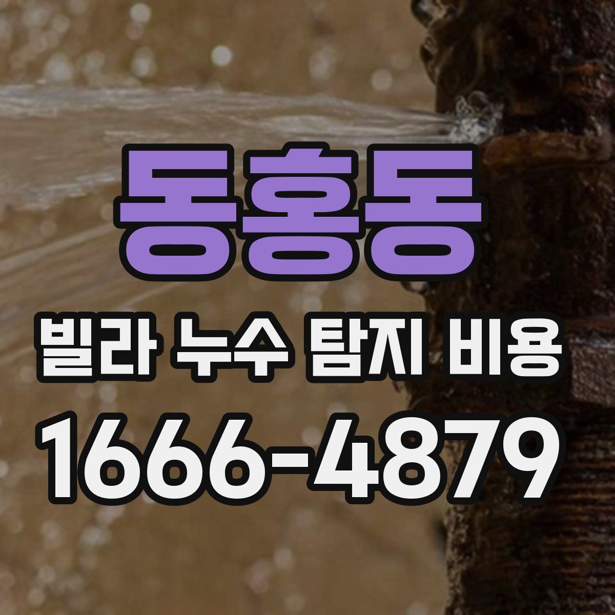 동홍동 빌라 누수 탐지 비용