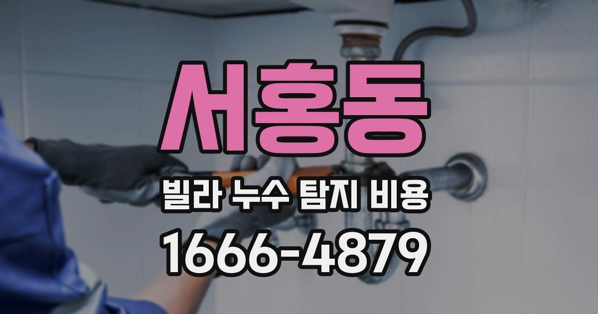 서홍동 빌라 누수 탐지 비용
