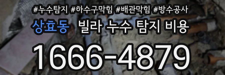 상효동 빌라 누수 탐지 비용