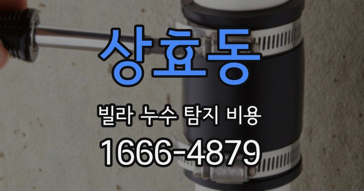 상효동 빌라 누수 탐지 비용