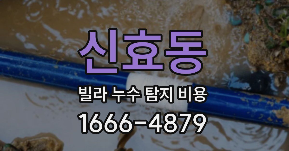 신효동 빌라 누수 탐지 비용
